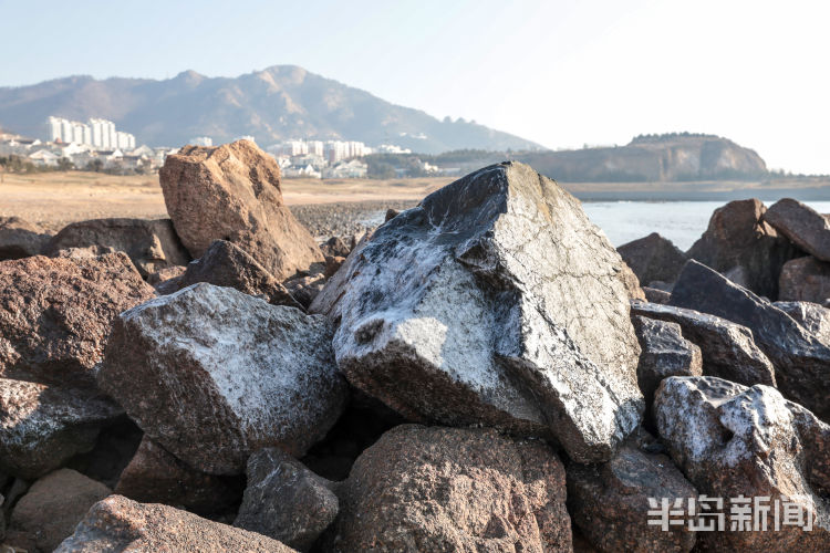 半岛都市报■-6℃！石老人海水浴场结冰了！