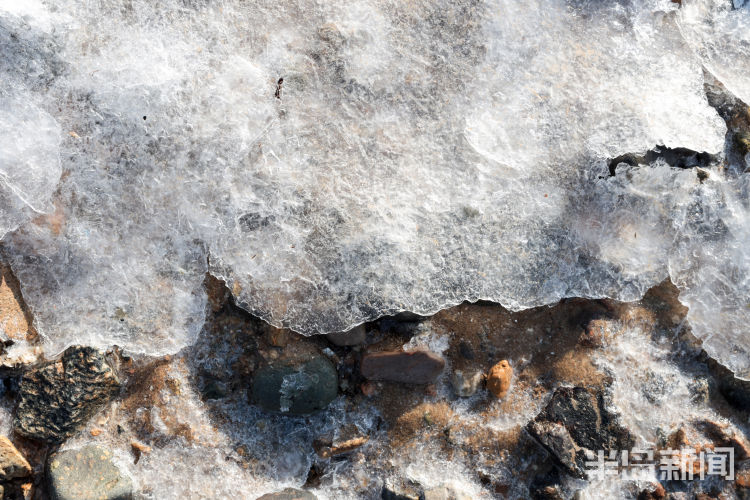 半岛都市报■-6℃！石老人海水浴场结冰了！