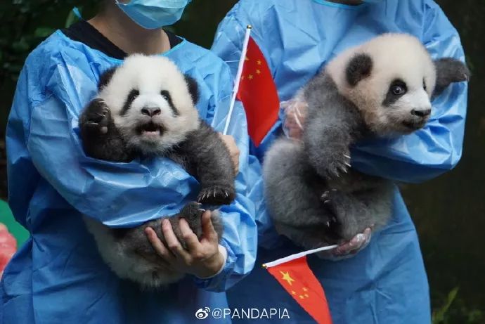 [云南日报]最快2小时，昆明攀枝花动车来啦！到成都还远吗？