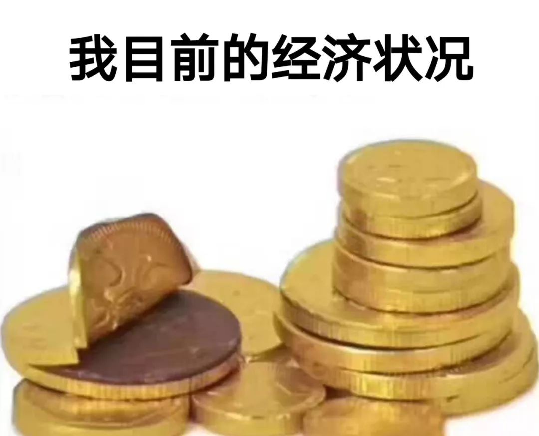 ▽2019年度我的经济状况▽2019年度我的生活信条▽2019年度我和老公的