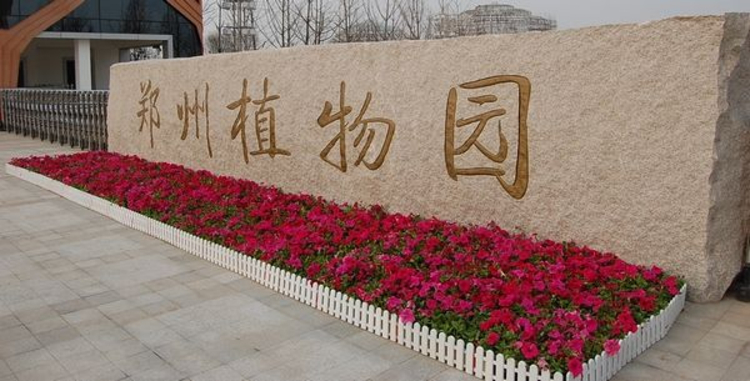 河南交通广播■元旦好去处！郑州植物园迎春花展开幕 2000株花卉喜庆新年