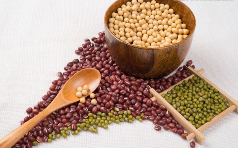 北京科学中心：腊八豆是什么豆？腊八节，这些豆子你都会区分吗？