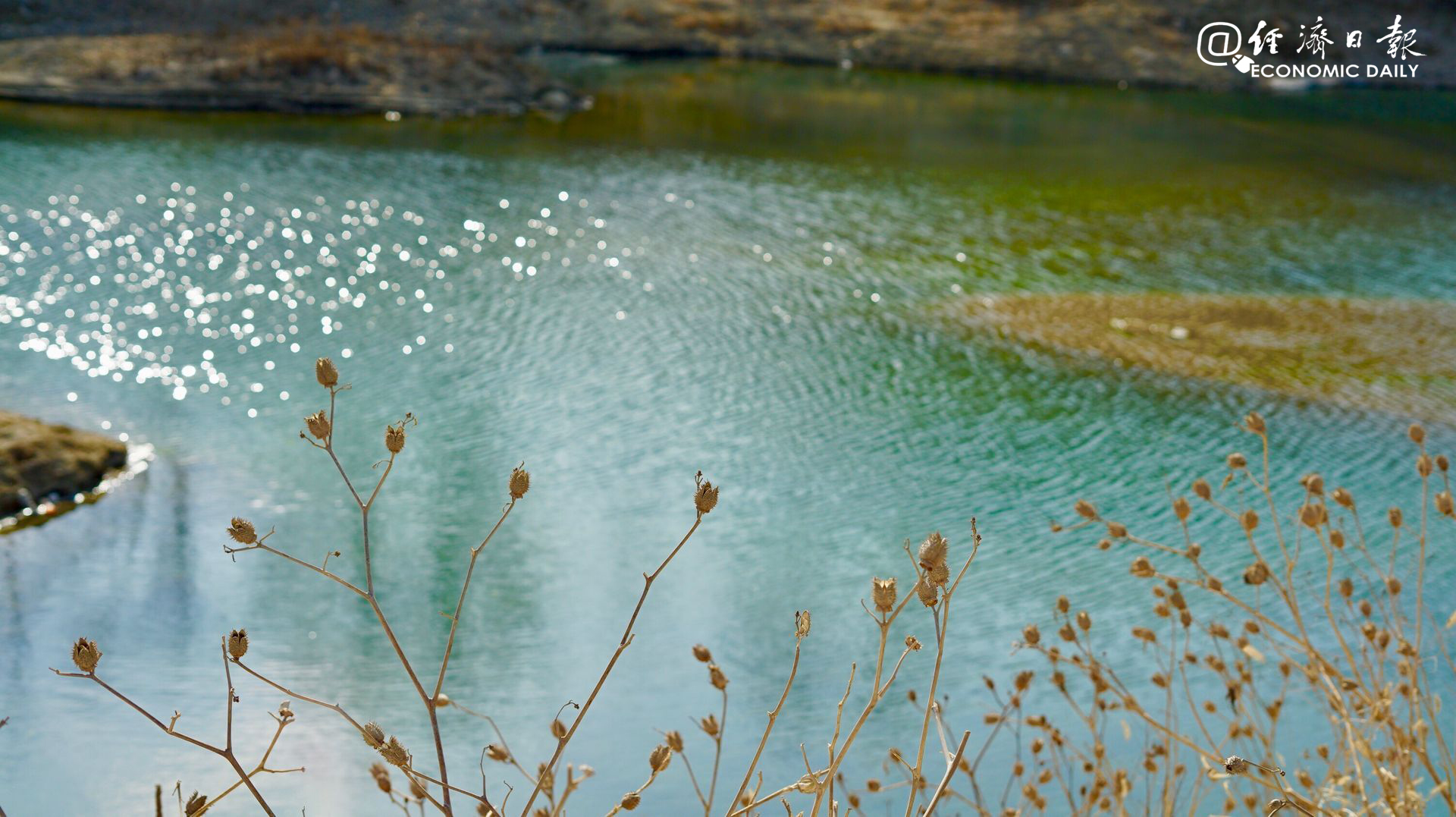 【经济日报】长江流域重点水域常年禁捕，28万渔民生计如何保障？