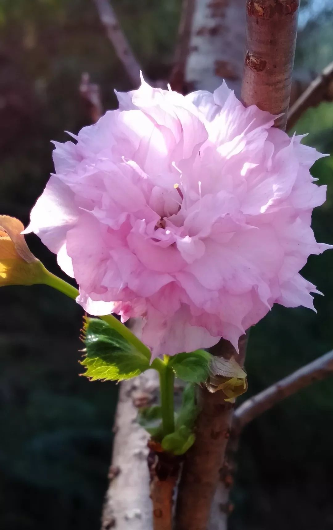 江西网络广播电视台■直奔27℃！江西将一秒入夏，你怕是在搞事情咯？