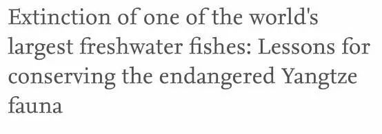 【环球时报】噩耗：中国长江白鲟宣布灭绝