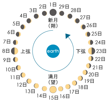 中国教育报：今年2月有29天，全年有5个神奇周六……这些关于历法的知识点讲给孩子听听吧｜特别关注