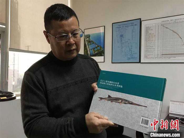 经济日报：痛心！研究称预计长江白鲟灭绝 专家呼吁关注“极危”物种