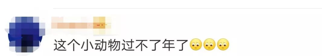 东北网@「痛心」噩耗登上热搜！网友哭了……