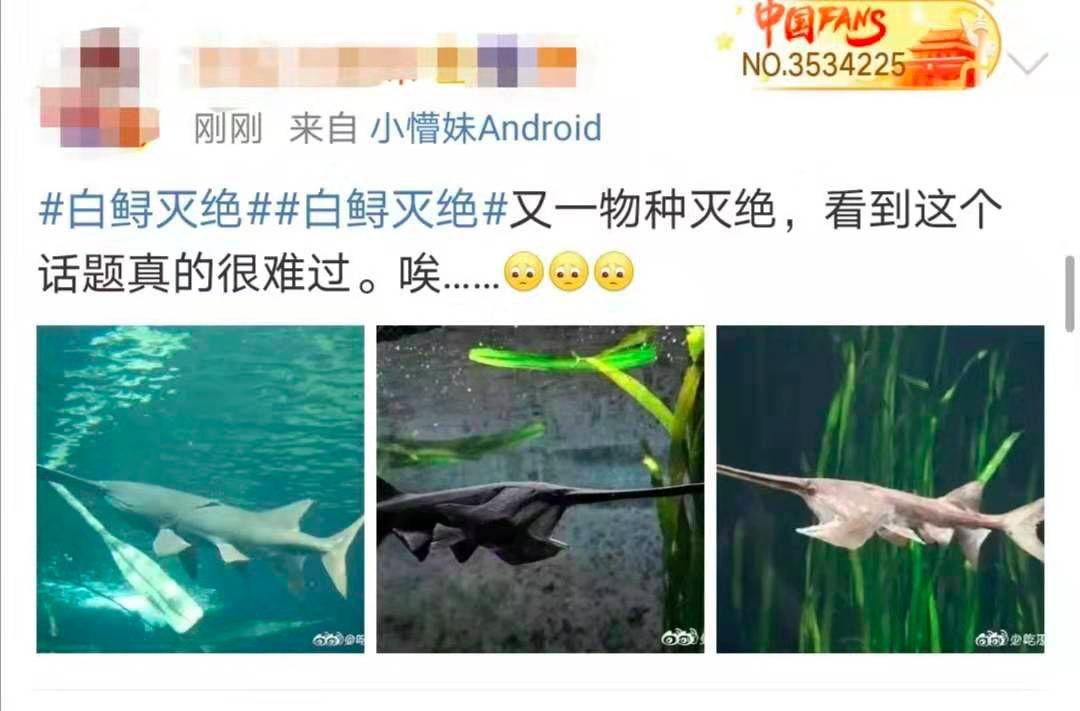东北网@「痛心」噩耗登上热搜！网友哭了……