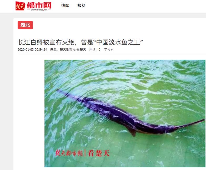 东北网@「痛心」噩耗登上热搜！网友哭了……