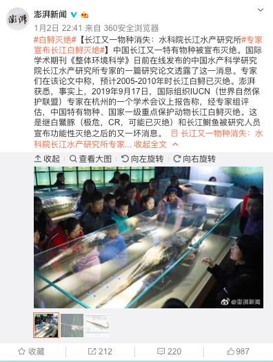东北网@「痛心」噩耗登上热搜！网友哭了……