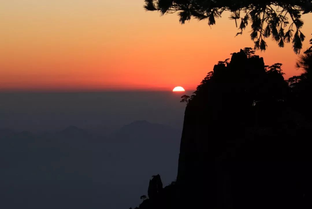 #国是直通车#马云董明珠巴菲特……商界大佬对“20年代”的忠告