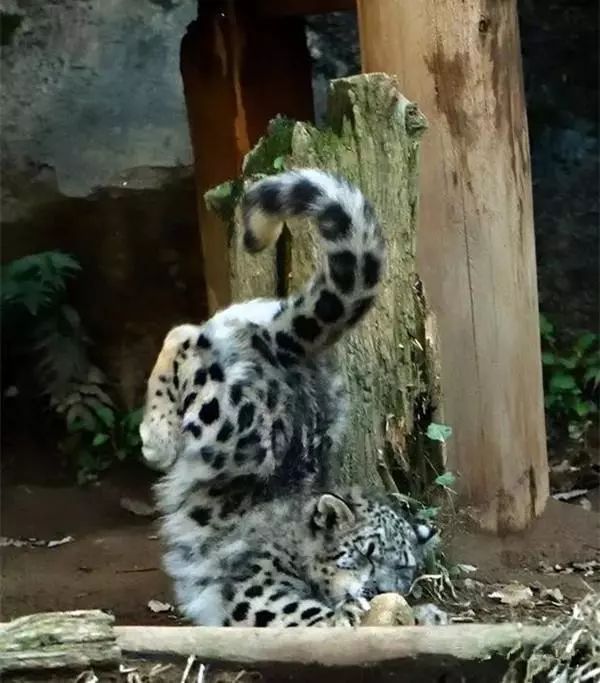 [视觉志]对不起，这是我最后一张照片了