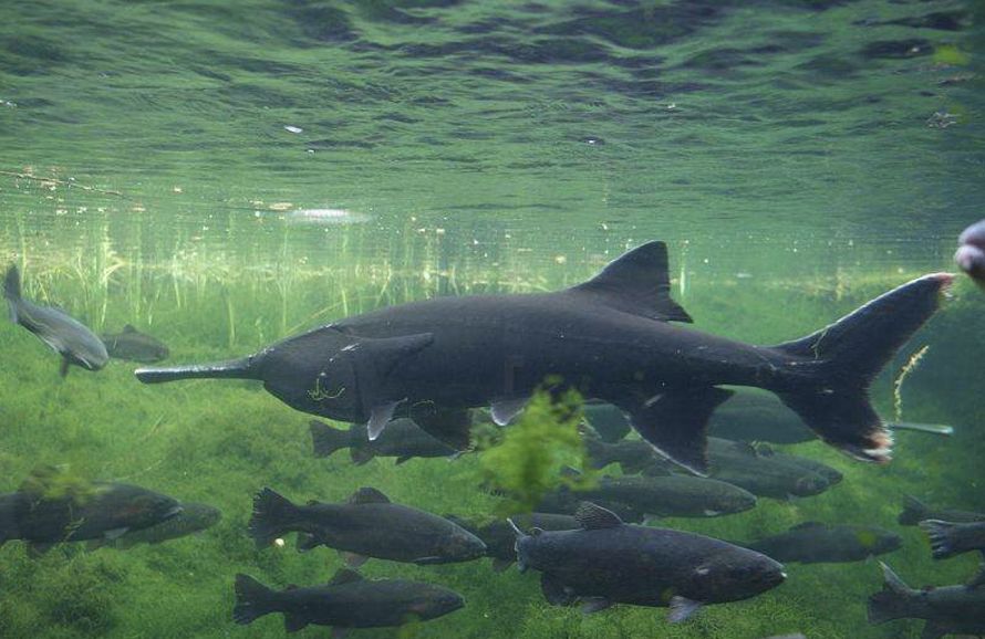 [视觉志]对不起，这是我最后一张照片了