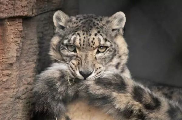 [视觉志]对不起，这是我最后一张照片了