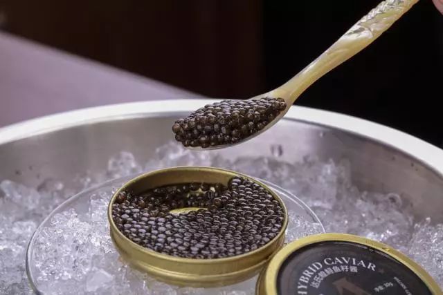 [视觉志]对不起，这是我最后一张照片了