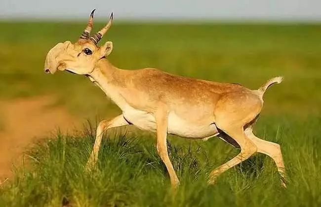 [视觉志]对不起，这是我最后一张照片了