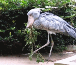 [视觉志]对不起，这是我最后一张照片了