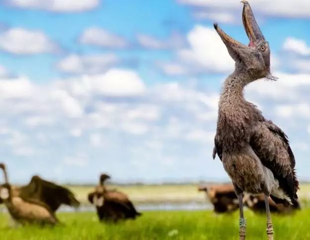 [视觉志]对不起，这是我最后一张照片了