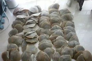 [视觉志]对不起，这是我最后一张照片了