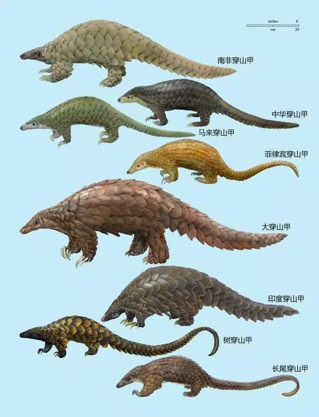 [视觉志]对不起，这是我最后一张照片了