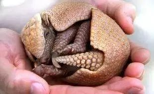 [视觉志]对不起，这是我最后一张照片了