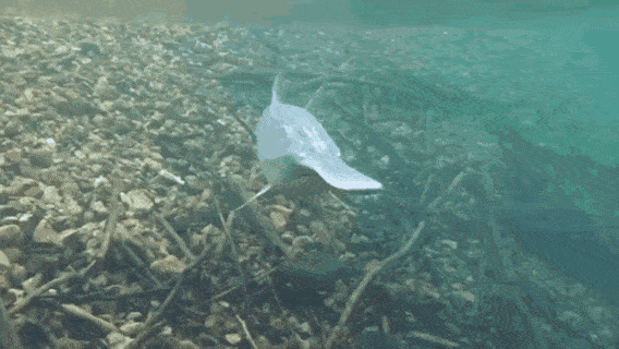 [视觉志]对不起，这是我最后一张照片了