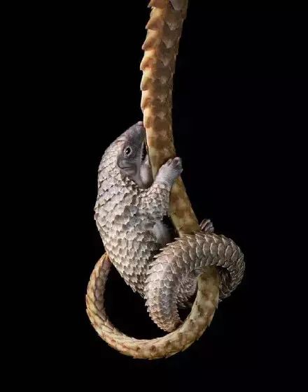 [视觉志]对不起，这是我最后一张照片了