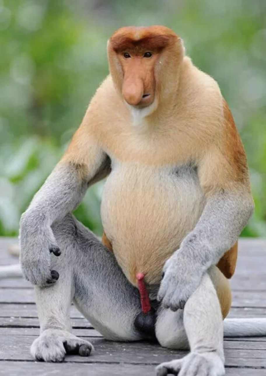 [视觉志]对不起，这是我最后一张照片了