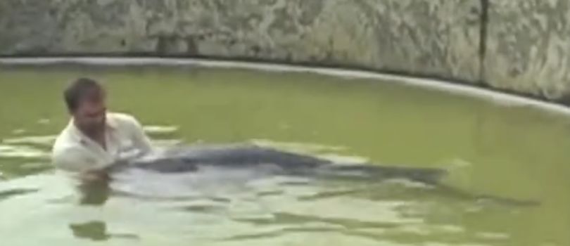 [视觉志]对不起，这是我最后一张照片了