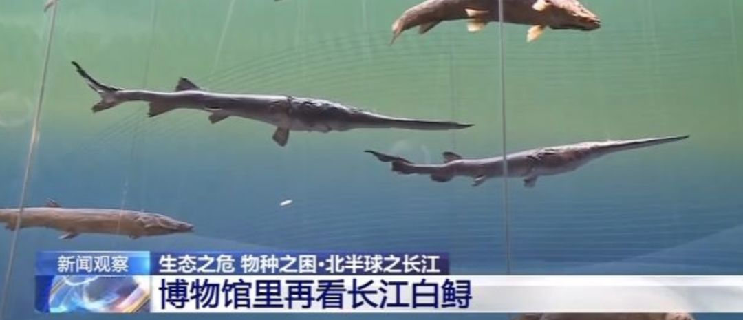 [视觉志]对不起，这是我最后一张照片了