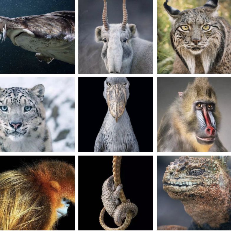 [视觉志]对不起，这是我最后一张照片了