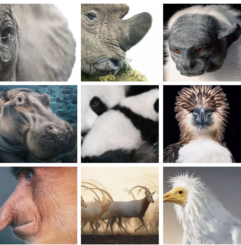 [视觉志]对不起，这是我最后一张照片了