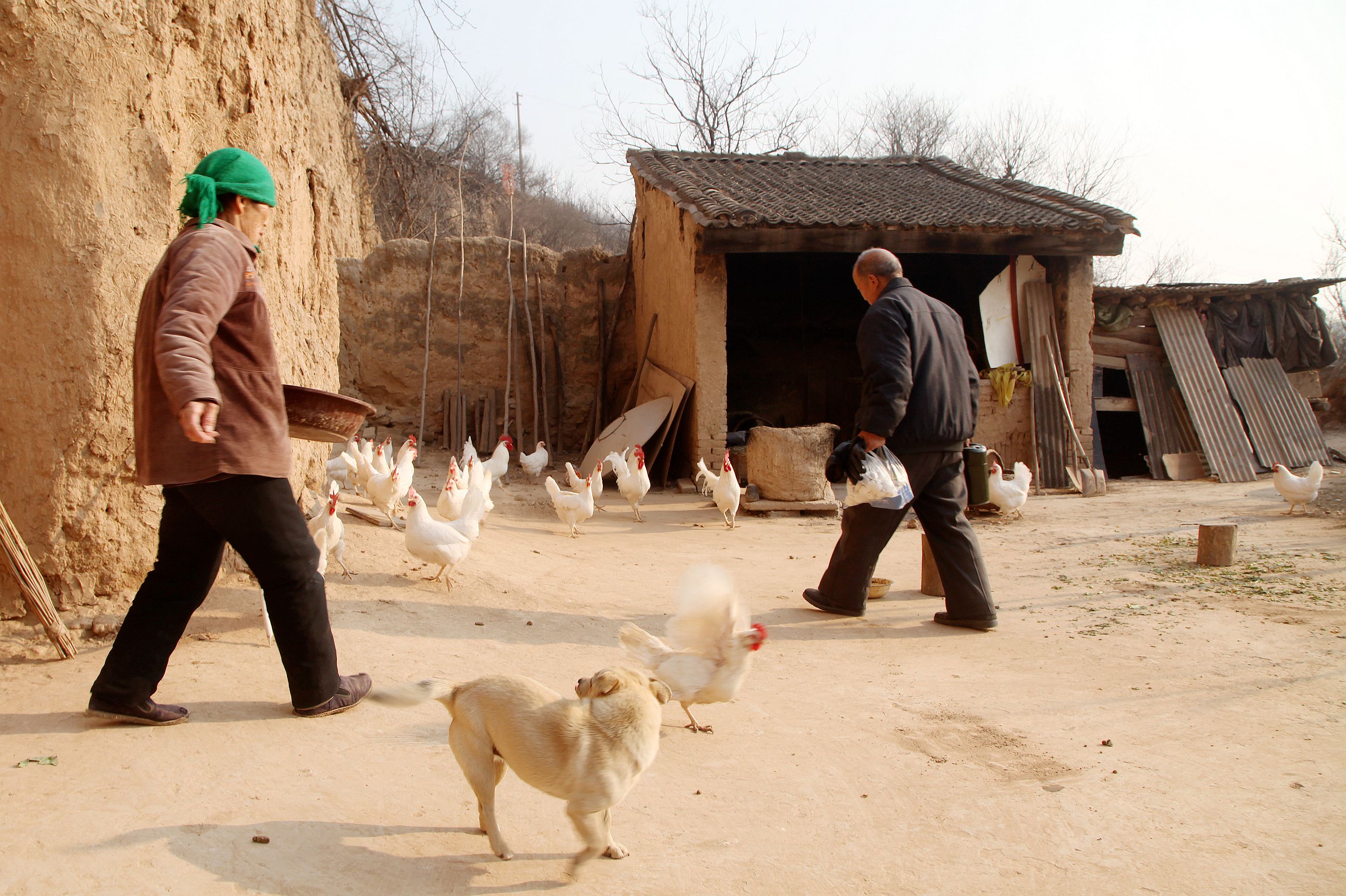山西大山发现1户人家7旬老夫妻守了50年看生活成啥样