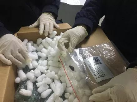 海关发布@捉虫达人又抓了哪些新家伙？