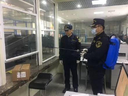 海关发布@捉虫达人又抓了哪些新家伙？