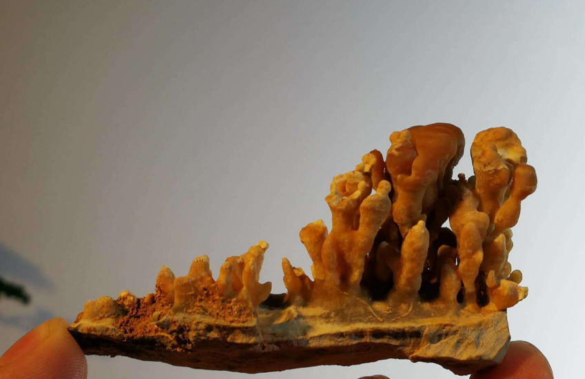 灵璧钟石,热带雨林,色泽鲜艳,质地细腻如玉,晶莹剔透!