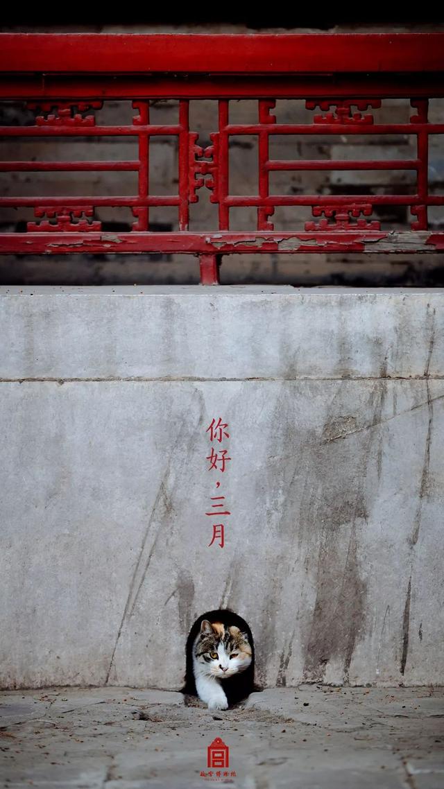 [掌上兰州]在博物馆感受四季变幻，美爆了