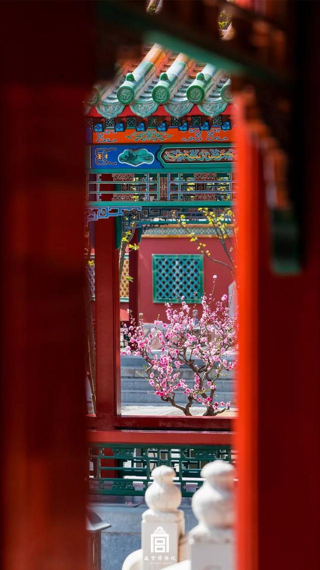 [掌上兰州]在博物馆感受四季变幻，美爆了