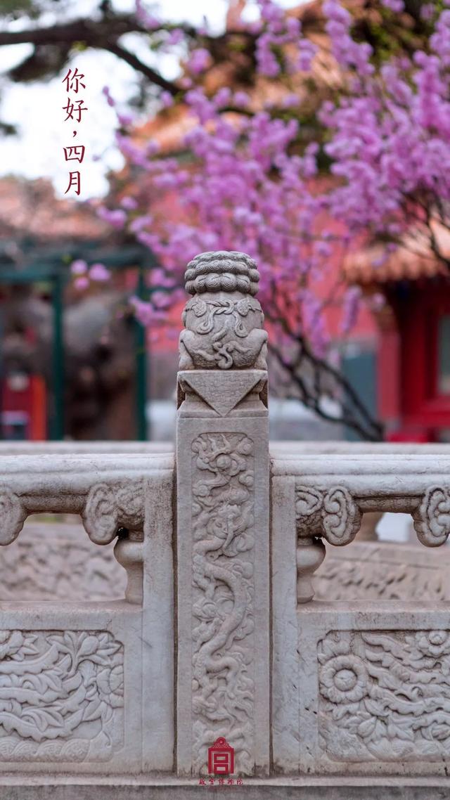 [掌上兰州]在博物馆感受四季变幻，美爆了