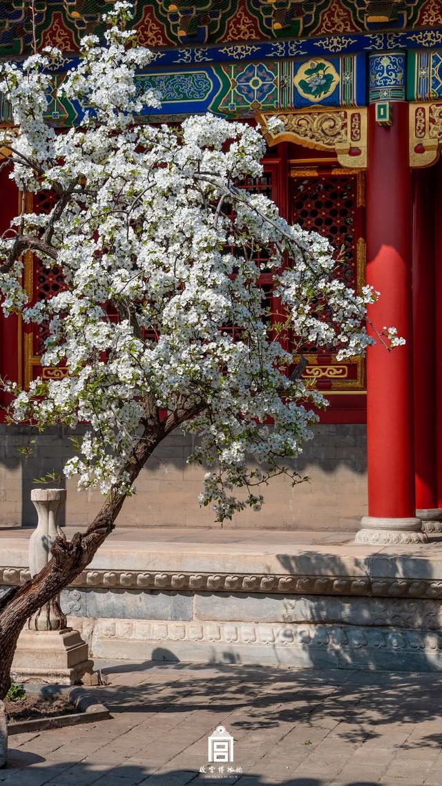 [掌上兰州]在博物馆感受四季变幻，美爆了