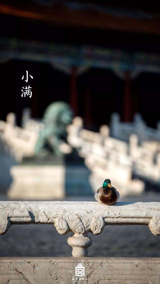 [掌上兰州]在博物馆感受四季变幻，美爆了