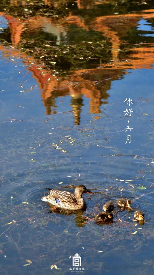 [掌上兰州]在博物馆感受四季变幻，美爆了