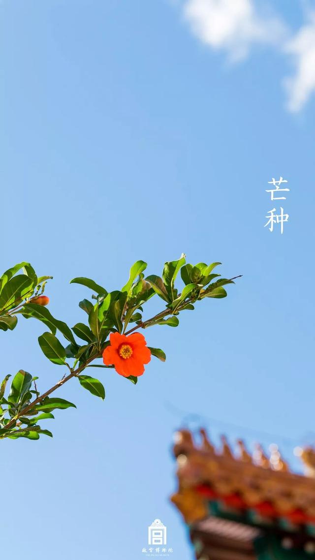 [掌上兰州]在博物馆感受四季变幻，美爆了