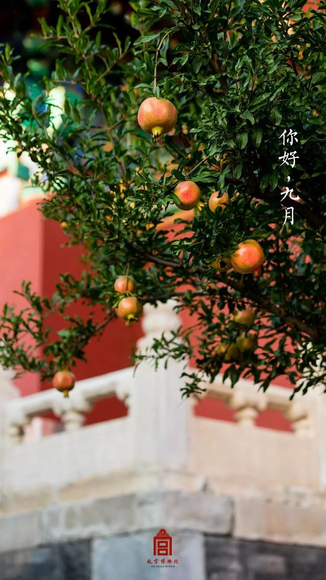 [掌上兰州]在博物馆感受四季变幻，美爆了