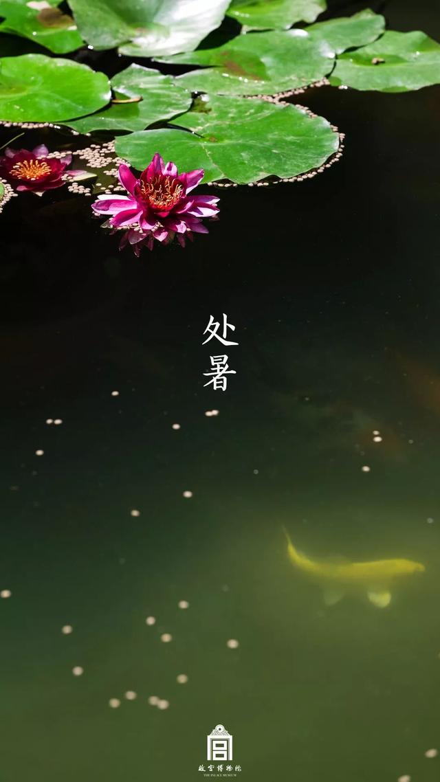 [掌上兰州]在博物馆感受四季变幻，美爆了