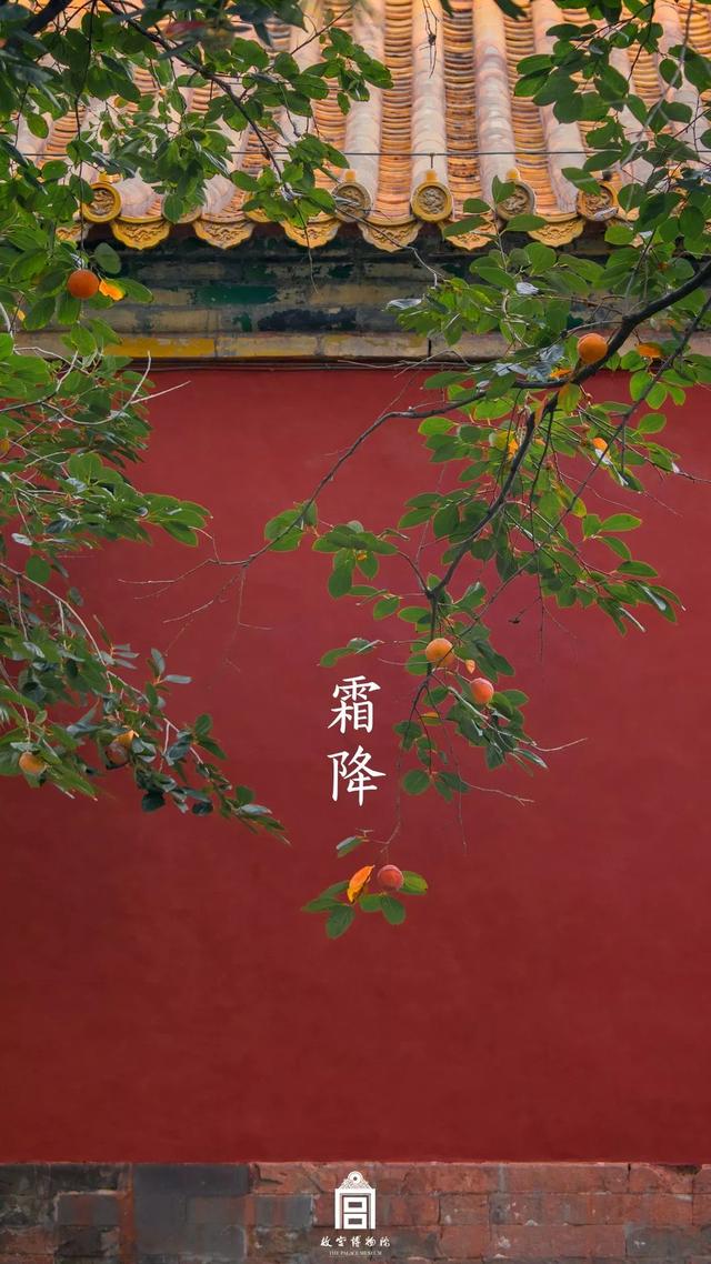 [掌上兰州]在博物馆感受四季变幻，美爆了