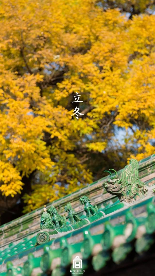 [掌上兰州]在博物馆感受四季变幻，美爆了