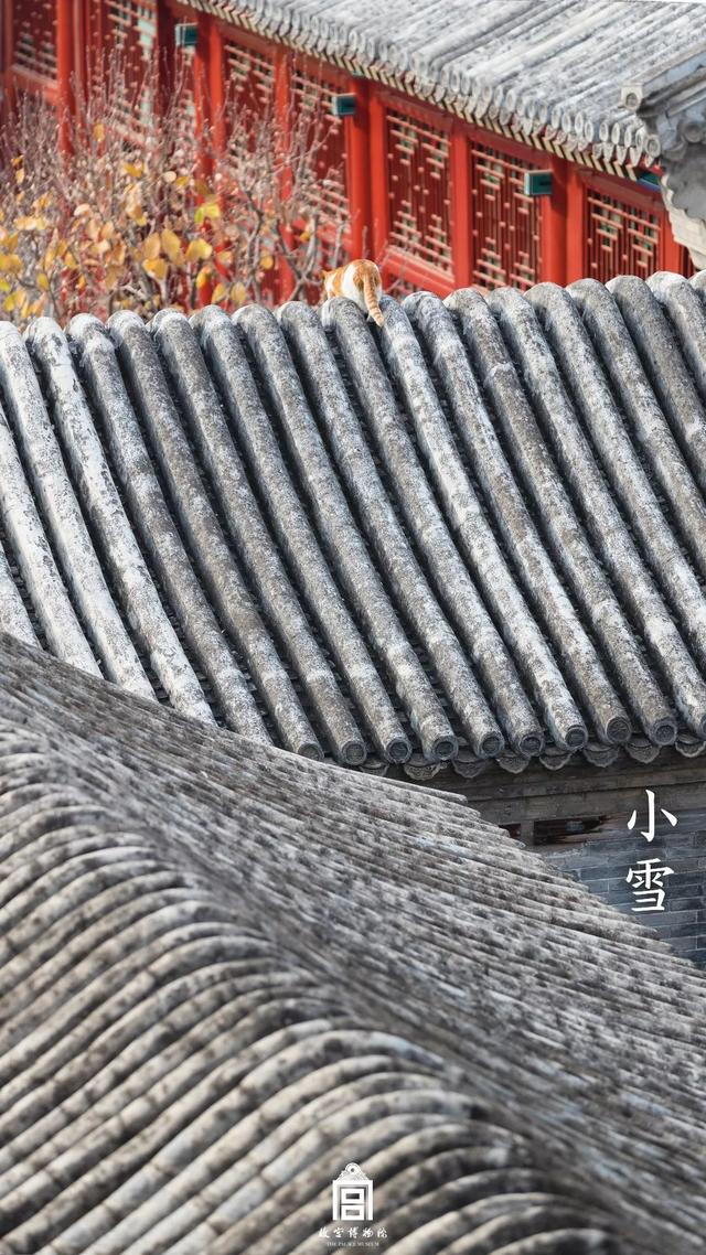 [掌上兰州]在博物馆感受四季变幻，美爆了