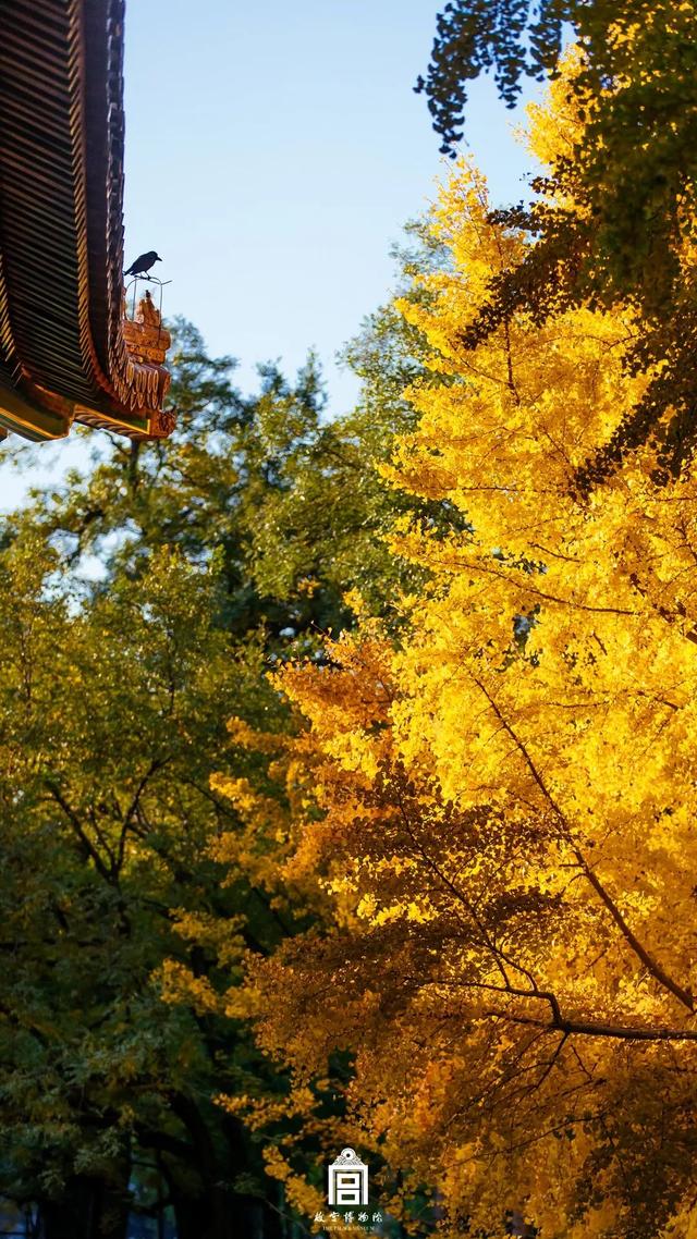 [掌上兰州]在博物馆感受四季变幻，美爆了
